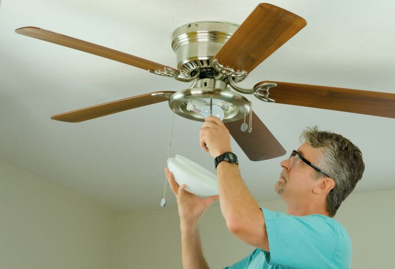 Contemporary Ceiling Fan