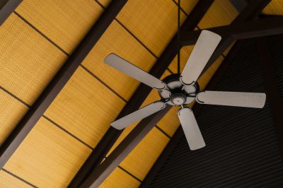 Maintain Your Ceiling Fan!